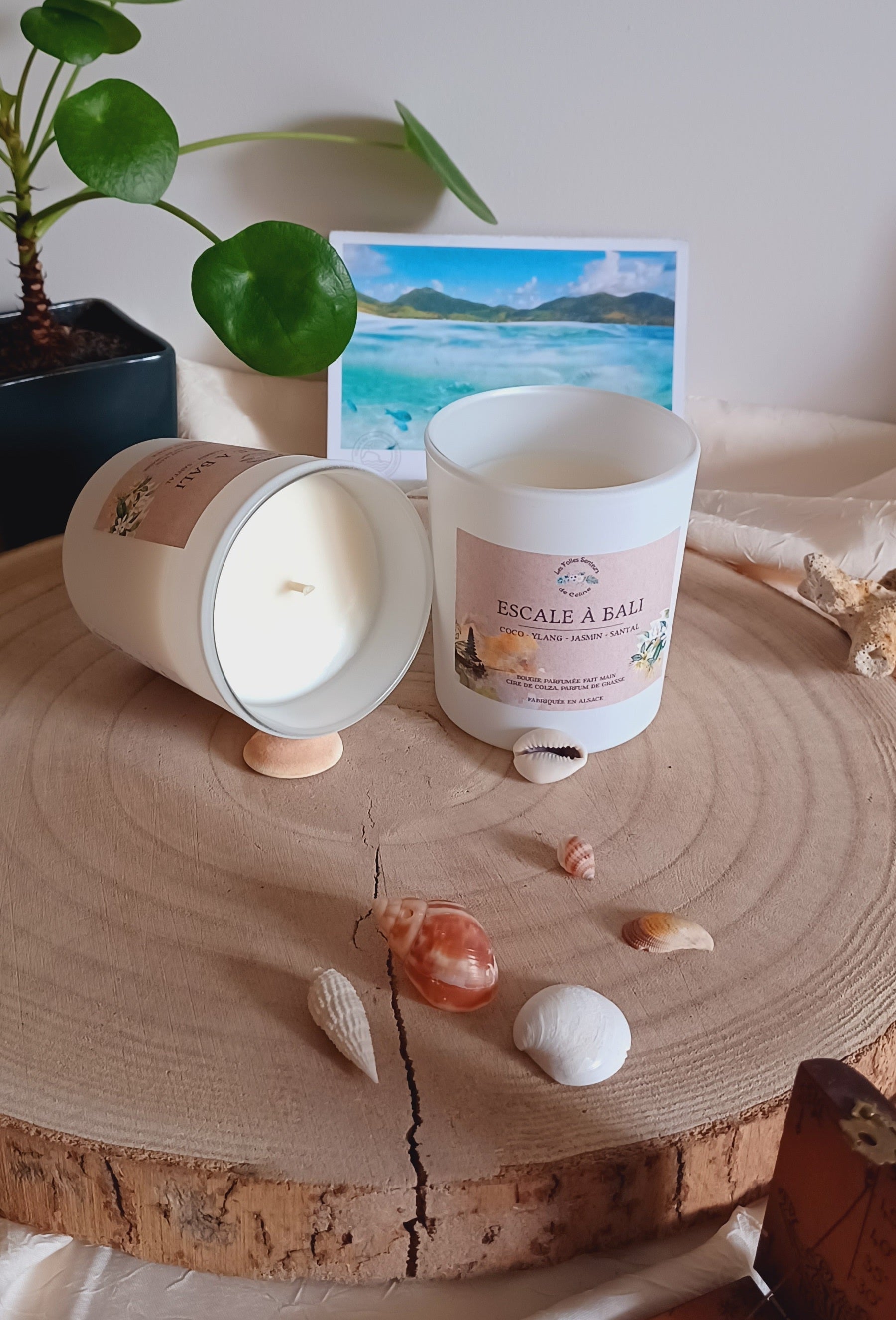 Bougie Escale à Bali à la cire de colza et aux notes de coco, ylang-ylang, jasmin, santal