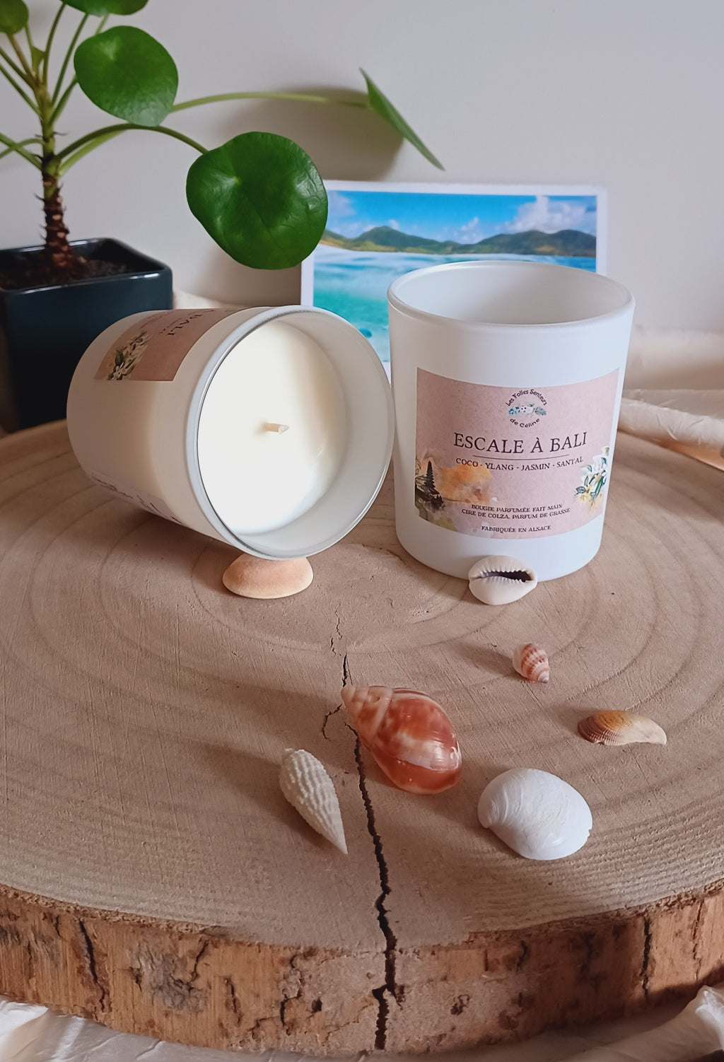 Bougie Escale à Bali à la cire de colza et aux notes de coco, ylang-ylang, jasmin, santal