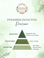 Pyramide olfactive parfum Douceur
Note de tête : bergamote, fleur blanche, iris, fleur d'amandier
Note de cœur : musc, iris, rose
Note de fond : musc, fleur de coton, héliotrope