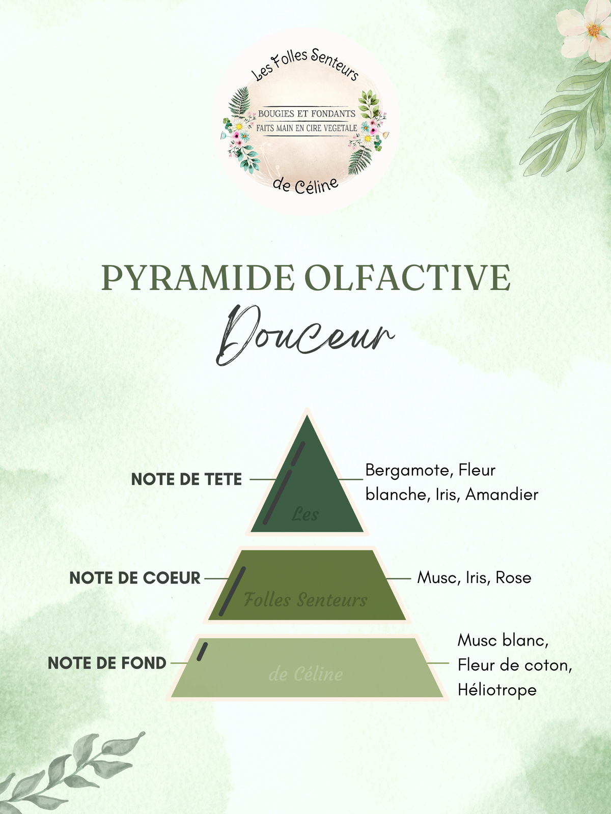 Pyramide olfactive parfum Douceur
Note de tête : bergamote, fleur blanche, iris, fleur d'amandier
Note de cœur : musc, iris, rose
Note de fond : musc, fleur de coton, héliotrope