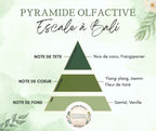 Pyramide olfactive parfum Escale à Bali
Note de tête : coco, frangipanier
Note de cœur : ylang-ylang, jasmin, tiaré
Note de fond : santal, vanille