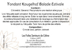 Fondant kougelhof Balade Estivale
