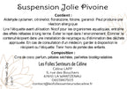 Étiquette CLP avec conseils de prudence