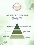 Pyramide olfactive parfum Félicité
Note de tête : litchi, mandarine, cerise
Note de cœur : freesia, pomme, rose
Note de fond : musc, ambre, cashmeran