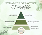 Pyramide olfactive parfum Cocooning.
Note de tête : pomme, poire
Note de cœur : fruits rouges, santal
Note de fond : Musc, vanille, praline