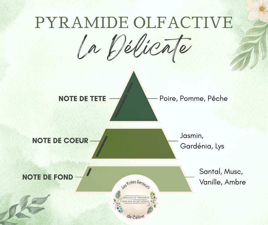 Pyramide olfactive parfum La Délicate.
Note de tête : poire, pomme, pêche
Note de cœur : jasmin, gardénia, lys
Note de fond : Musc, santal, vanille, ambre