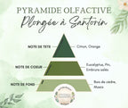 Pyramide olfactive parfum Plongée à Santorin
Note de tête : citron, orange
Note de cœur : embruns salés, eucalyptus, pin
Note de fond : cèdre, musc