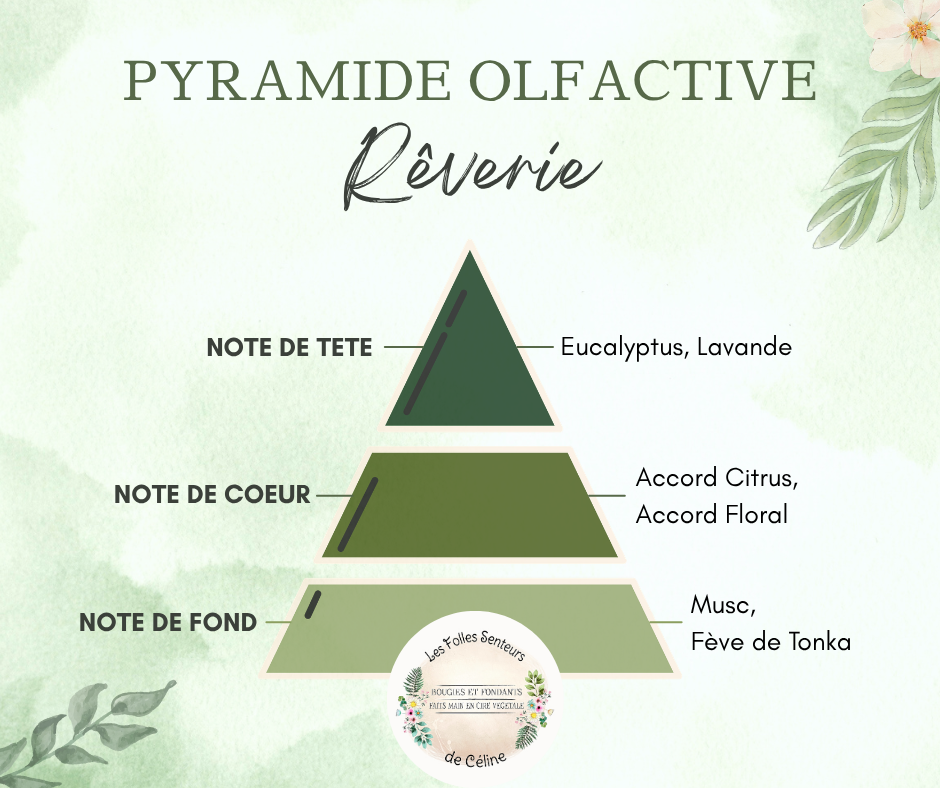 Pyramide olfactive parfum Cocooning.
Note de tête : Eucalyptus, lavande
Note de cœur : accord citrus, accord floral
Note de fond : Musc, tonka