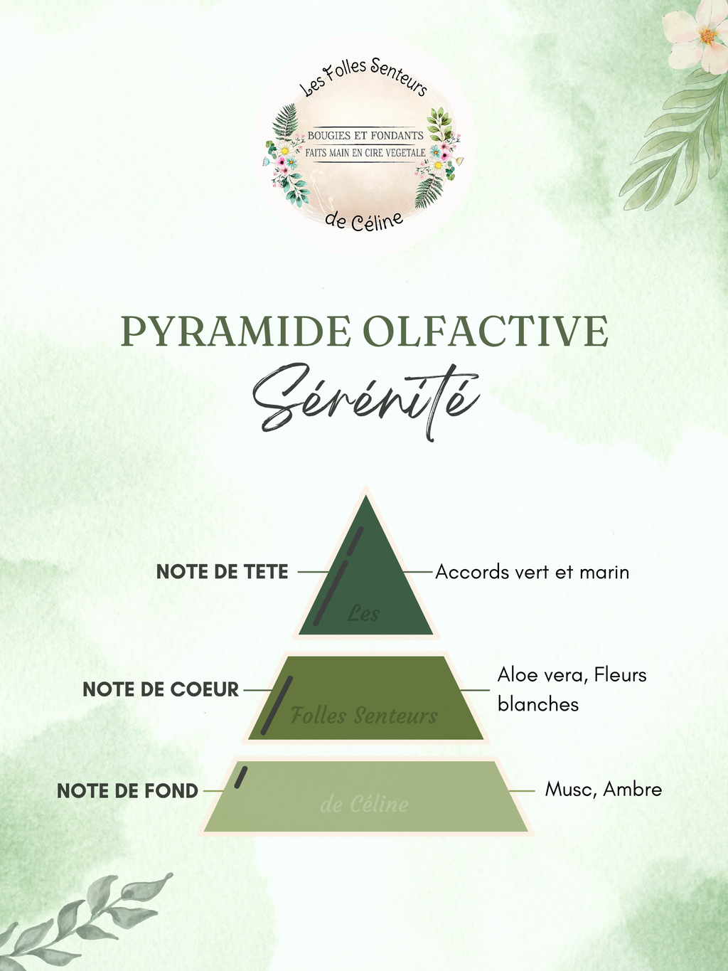 Pyramide olfactive parfum Sérénité
Note de tête : accords vert et marin
Note de cœur : aloé vera, fleurs blanches
Note de fond : musc, ambre