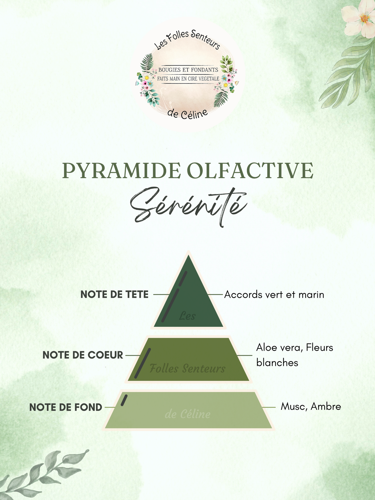 Pyramide olfactive parfum Sérénité
Note de tête : accords vert et marin
Note de cœur : aloé vera, fleurs blanches
Note de fond : musc, ambre